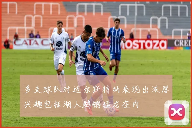 多支球队对迈尔斯特纳表现出浓厚兴趣包括湖人鹈鹕猛龙在内