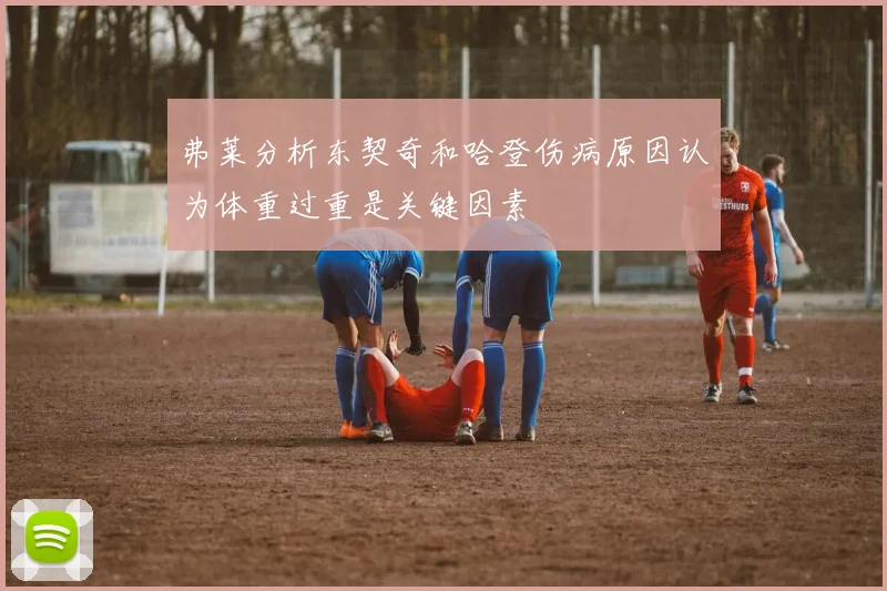 弗莱分析东契奇和哈登伤病原因认为体重过重是关键因素
