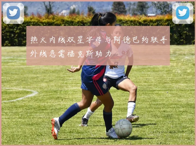 热火内线双星字母与阿德巴约联手外线急需福克斯助力